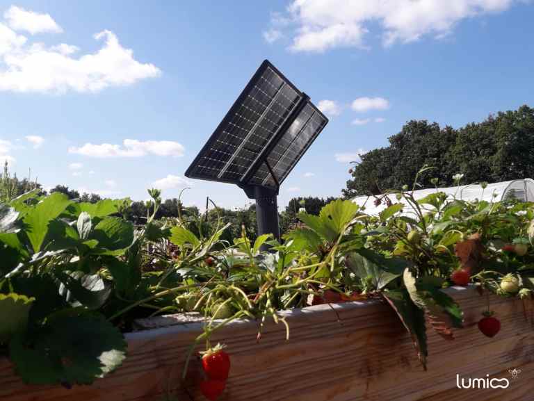 découvrez comment l'énergie solaire et la culture des oliviers se combinent pour favoriser la durabilité environnementale et la production agricole. explorez les avantages de cette synergie innovante pour un futur plus vert.