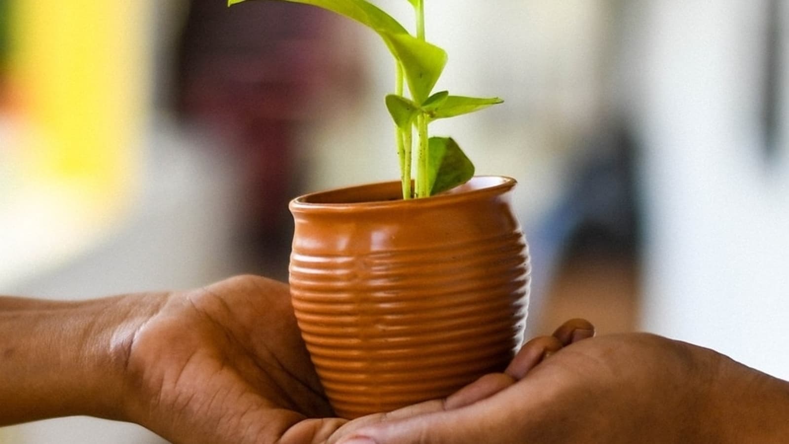 découvrez comment le financement vert transforme les projets durables et favorise la transition énergétique. explorez les solutions financières innovantes qui soutiennent l'écologie et le développement durable.