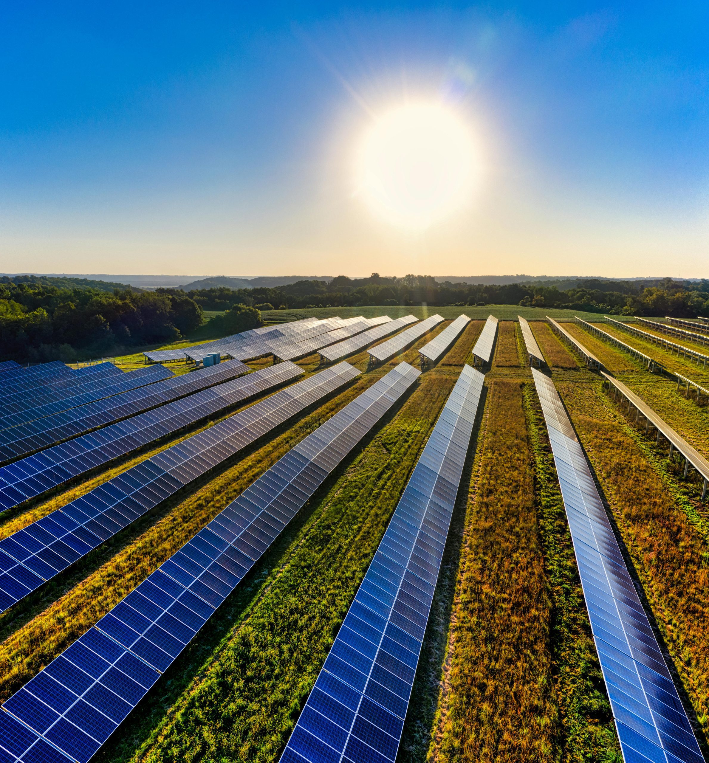 découvrez comment obtenir un panneau photovoltaïque gratuit pour profiter d'une énergie renouvelable et réduire vos factures d'électricité. informez-vous sur les aides disponibles et les étapes à suivre pour bénéficier de cette offre.