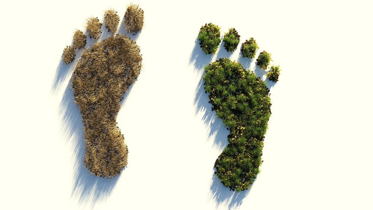 découvrez des stratégies efficaces pour réduire l'empreinte carbone de votre entreprise. adoptez des pratiques durables et contribuez à la protection de l'environnement tout en améliorant votre image de marque et en réalisant des économies.