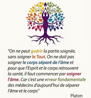 découvrez les bienfaits des soins énergétiques pour harmoniser votre corps et votre esprit. offrez-vous un moment de détente et rééquilibrez votre énergie vitale grâce à des techniques intuitives et personnalisées. transformez votre bien-être en profondeur avec nos séances adaptées à vos besoins.