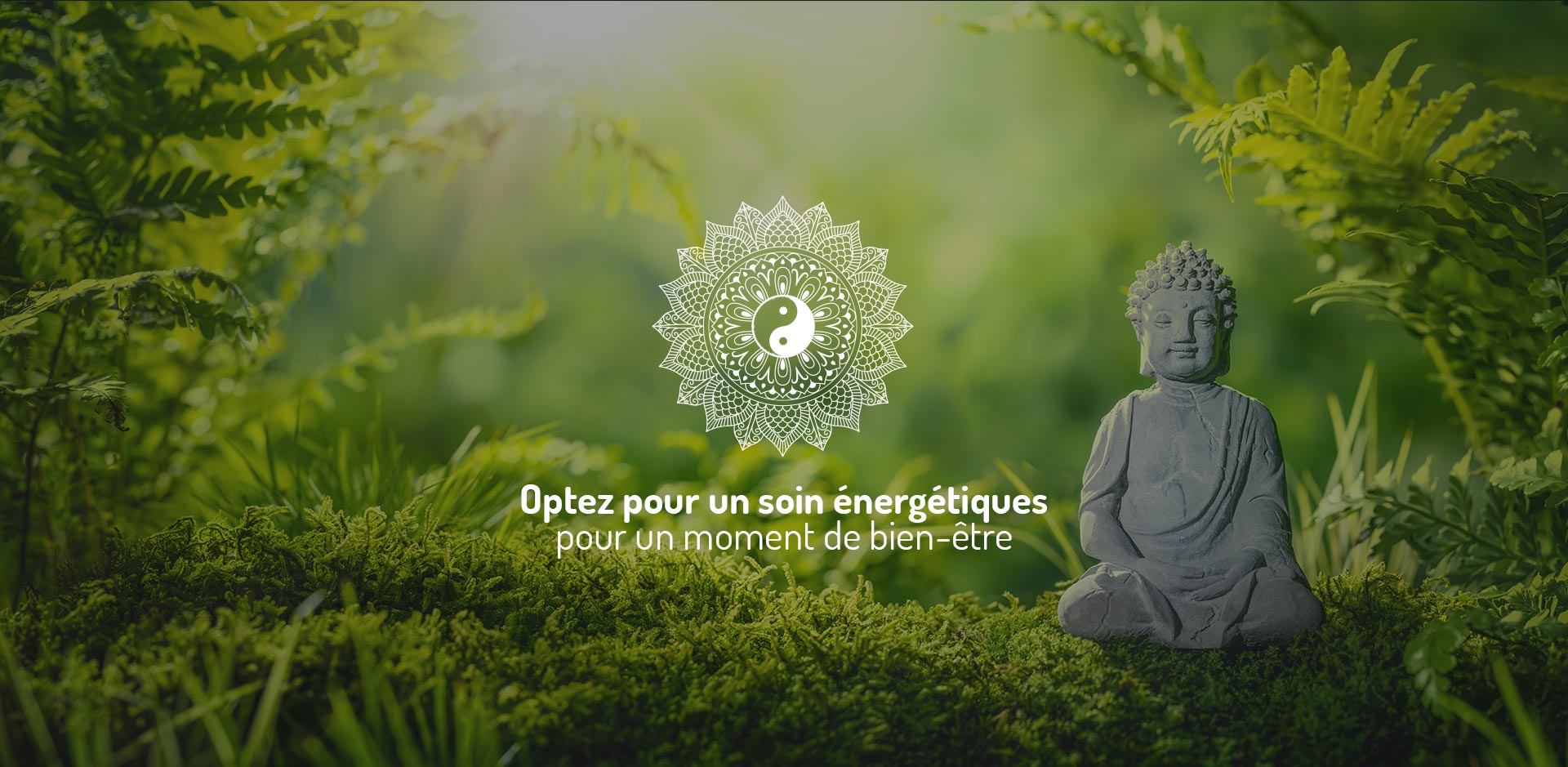 découvrez l'harmonie parfaite entre soins énergétiques et méditation. plongez dans un voyage intérieur pour revitaliser votre esprit, restaurer votre énergie et atteindre un équilibre profond. explorez des techniques anciennes pour transformer votre bien-être physique et mental.