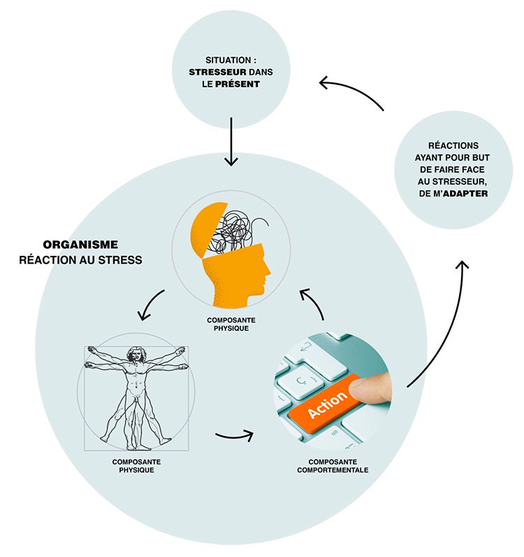 découvrez nos soins énergétiques spécifiquement conçus pour apaiser le stress et l'anxiété. trouvez l'équilibre intérieur et retrouvez sérénité et bien-être grâce à des techniques holistiques adaptées à vos besoins.