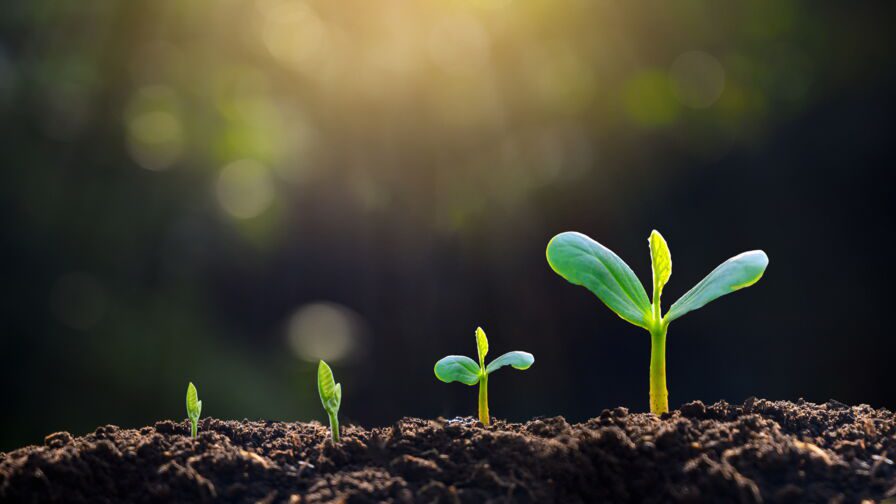 explorez les enjeux et les solutions de la transition durable pour un avenir respectueux de l'environnement. découvrez comment adopter des pratiques écoresponsables peut transformer notre société et préserver notre planète.