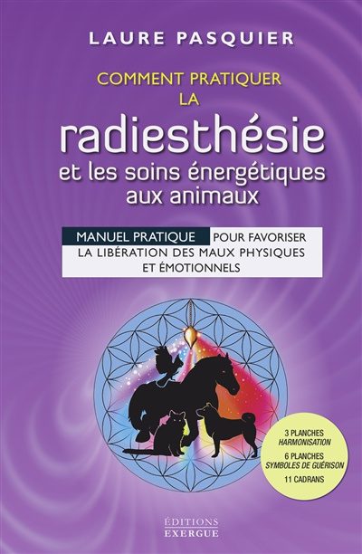 découvrez des visualisations puissantes pour améliorer vos soins énergétiques. apprenez à canaliser votre énergie, équilibrer vos chakras et favoriser votre bien-être intérieur grâce à des techniques simples et efficaces.