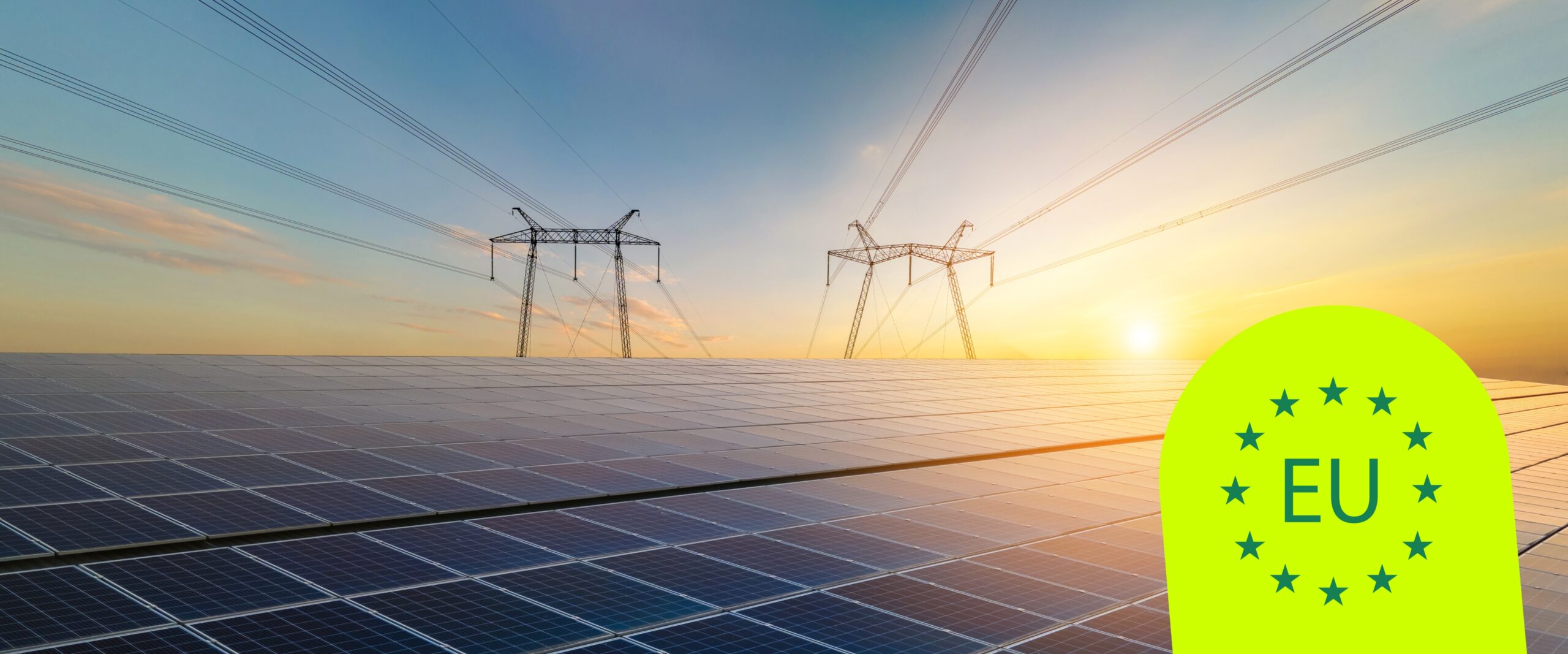 découvrez l'énergie verte, une solution durable et écologique pour un avenir respectueux de l'environnement. explorez les avantages des énergies renouvelables et leur impact positif sur la planète.