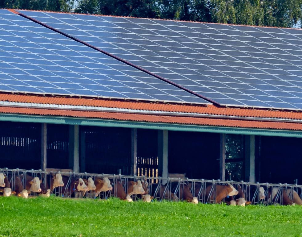 découvrez comment les bâtiments photovoltaïques transforment l'énergie solaire en électricité, offrant une solution durable et éco-responsable pour réduire votre empreinte carbone tout en optimisant vos coûts énergétiques.