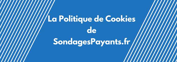 découvrez tout ce qu'il faut savoir sur les cookies ue : leur fonctionnement, les réglementations en vigueur et comment gérer vos préférences de confidentialité sur le web. protégez vos données tout en naviguant en toute sécurité !