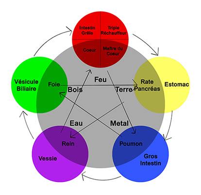 découvrez la kinésiologie énergétique, une approche innovante pour équilibrer le corps et l'esprit. cette méthode holistique utilise des techniques de test musculaire pour identifier les blocages énergétiques et favoriser le bien-être. améliorez votre qualité de vie grâce à cet outil puissant de développement personnel.