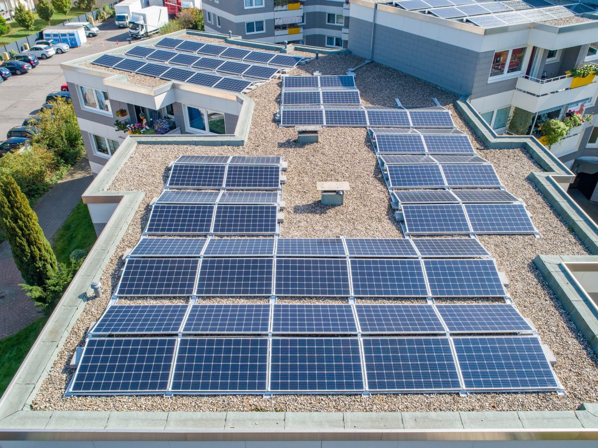 découvrez notre offre exceptionnelle de panneaux pour le bâtiment, alliant qualité et durabilité. idéaux pour vos projets de construction, ces panneaux sont conçus pour répondre à tous vos besoins en matière d'isolation et d'esthétique.