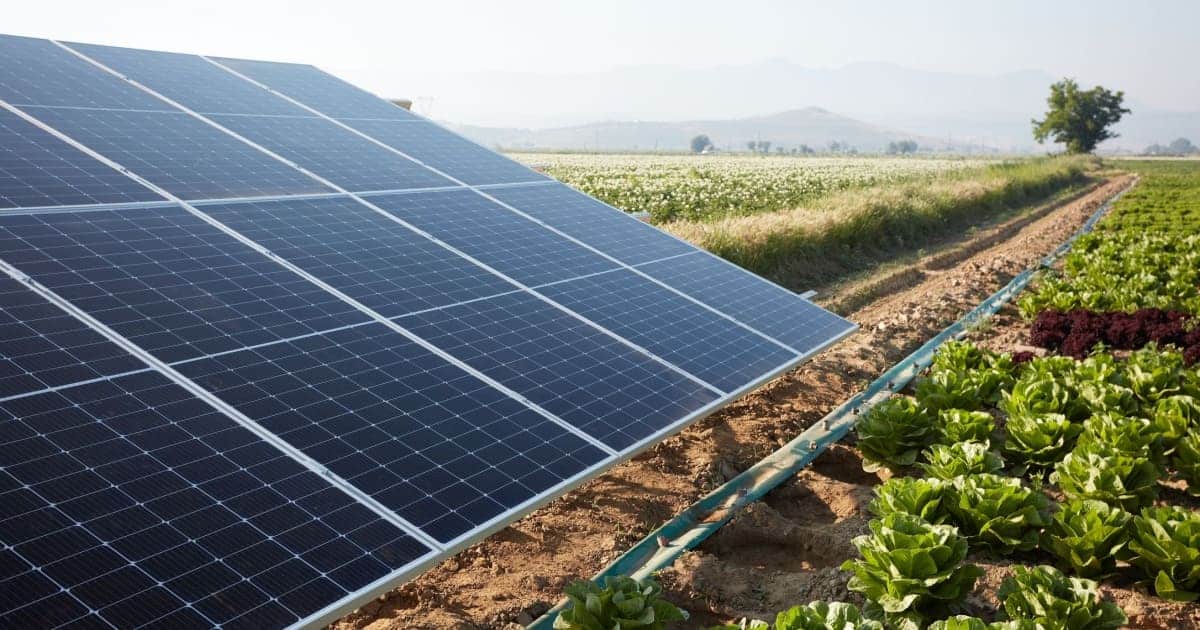 découvrez les avantages du photovoltaïque agricole : une solution durable pour optimiser vos exploitations, réduire vos coûts énergétiques et contribuer à la transition écologique. transformez vos surfaces agricoles en producteurs d'énergie grâce à des panneaux solaires adaptés.
