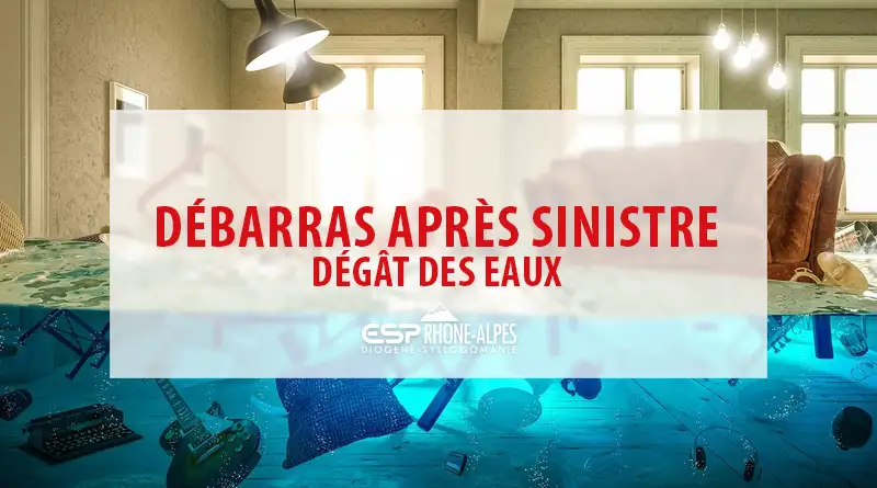 obtenez rapidement un devis pour vos dégâts des eaux. notre service vous aide à évaluer les dommages et à trouver les solutions adaptées pour réparer votre habitation efficacement.