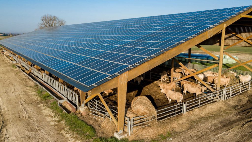 découvrez notre hangar solaire, une solution innovante pour stocker vos équipements tout en bénéficiant d'une énergie renouvelable. conçu pour allier efficacité et durabilité, ce hangar optimisé vous permet de réduire votre empreinte carbone tout en protégeant vos biens des intempéries.