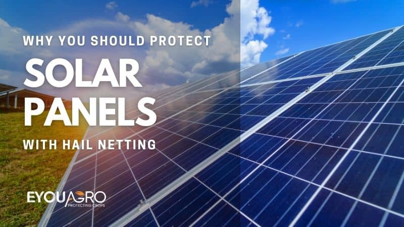 découvrez nos panneaux solaires ai résistants, conçus pour offrir une fiabilité exceptionnelle face aux intempéries. profitez d'une énergie durable et performante, tout en réduisant votre impact environnemental.