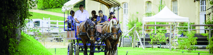 découvrez notre écurie durable, un espace dédié à l'équitation respectueuse de l'environnement. nous proposons des pratiques écoresponsables, des soins innovants pour les chevaux et des infrastructures adaptées pour un équilibre parfait entre nature et passion équestre.