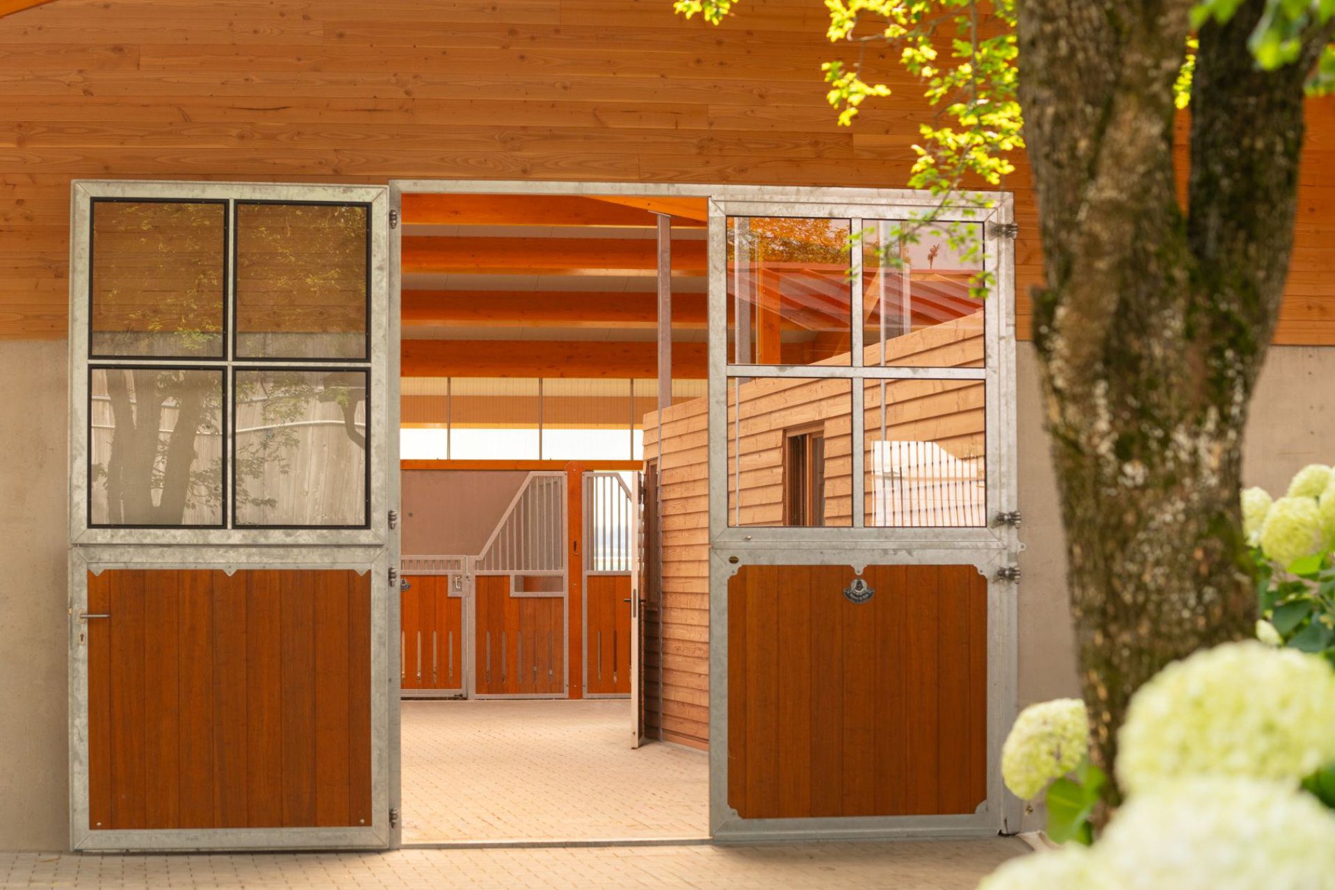découvrez notre écurie durable, un espace conçu pour le bien-être des chevaux et le respect de l'environnement. plongez dans l'univers de l'équitation éco-responsable où chaque détail compte pour une pratique éthique et durable.