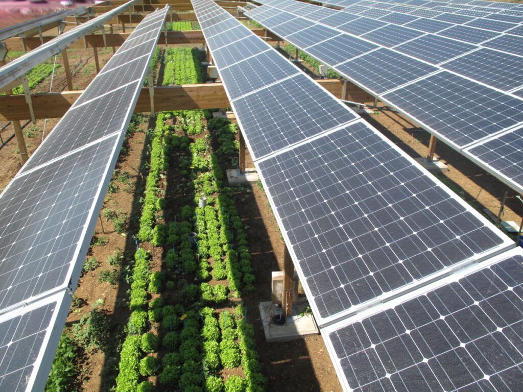 découvrez les solutions photovoltaïques à montpellier pour optimiser votre consommation d'énergie et réduire votre empreinte carbone. installation, entretien et conseils personnalisés pour un projet solaire adapté à vos besoins.