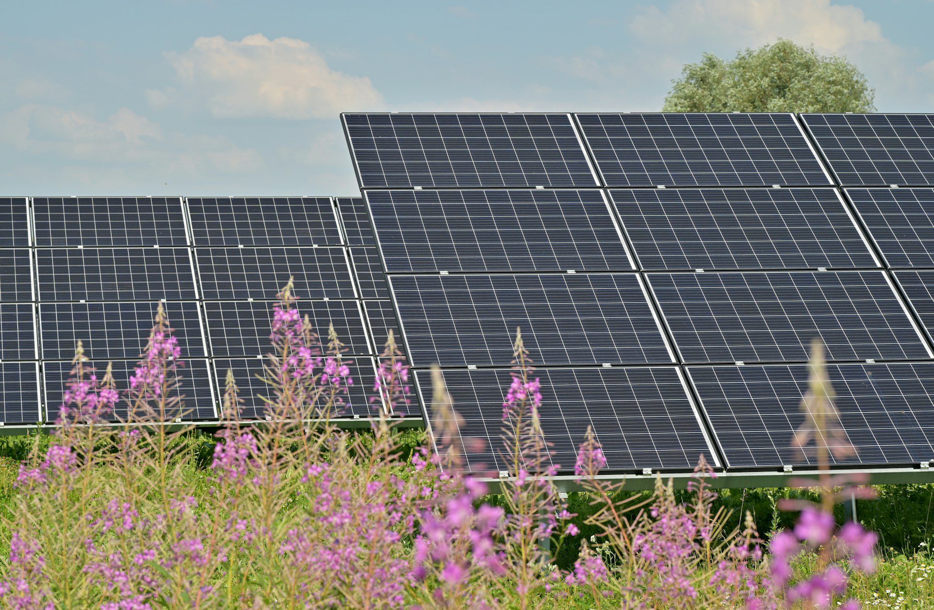 découvrez comment maximiser la rentabilité de vos panneaux photovoltaïques grâce à des conseils pratiques, des analyses de coûts et des astuces pour optimiser votre investissement. profitez d'une énergie renouvelable tout en réalisant des économies sur vos factures d'électricité.
