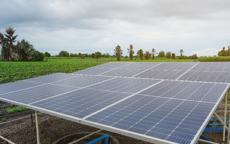 découvrez comment profiter du printemps pour investir dans l'énergie solaire et réduire vos coûts énergétiques tout en contribuant à la protection de l'environnement.